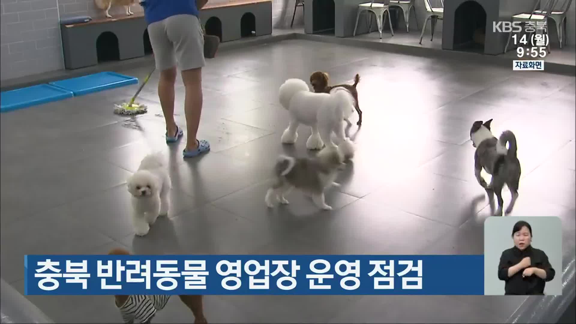 충북 반려동물 영업장 운영 점검