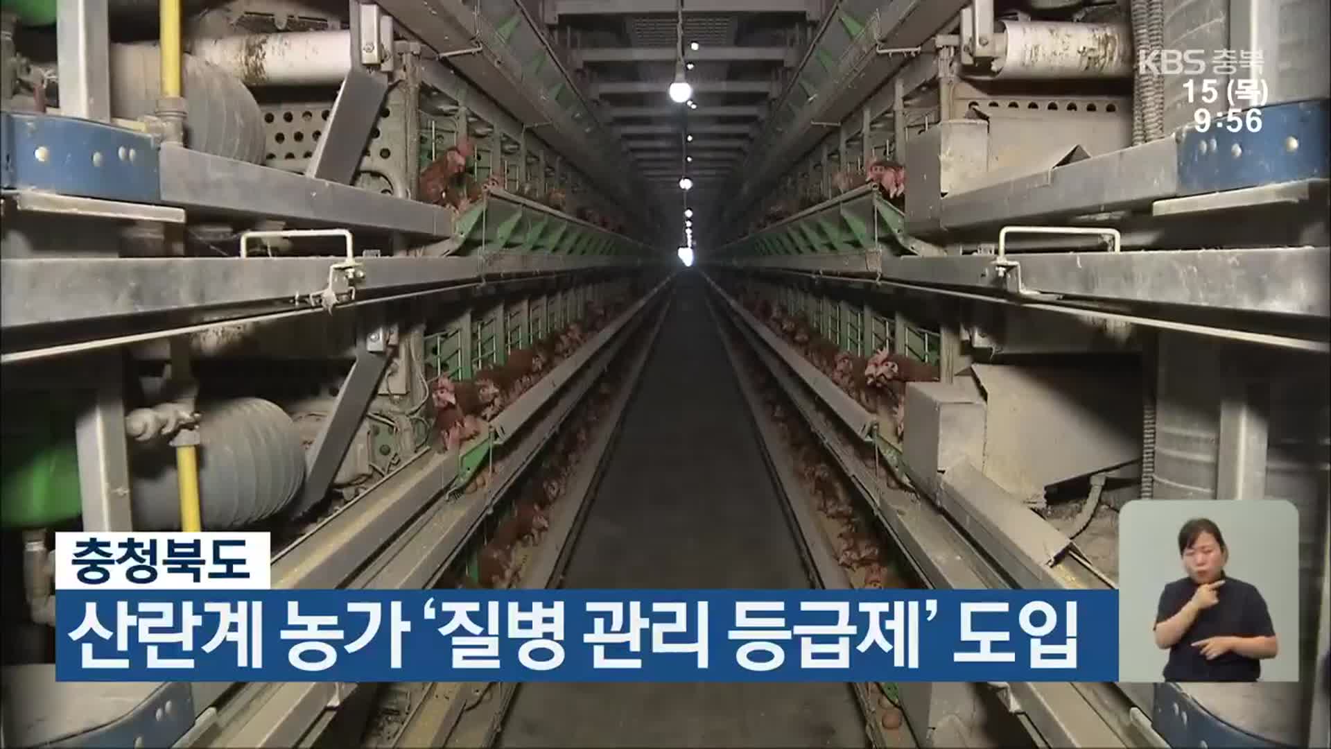 충청북도, 산란계 농가 ‘질병 관리 등급제’ 도입