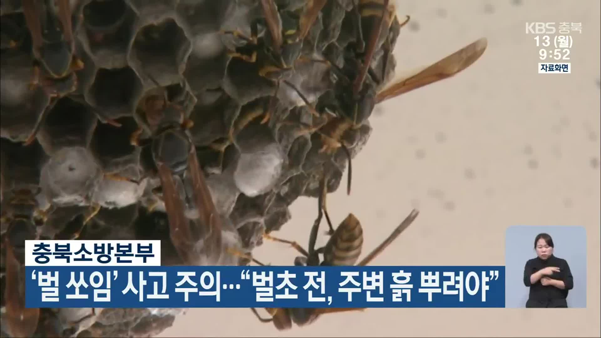‘벌 쏘임’ 사고 주의…“벌초 전, 주변 흙 뿌려야”