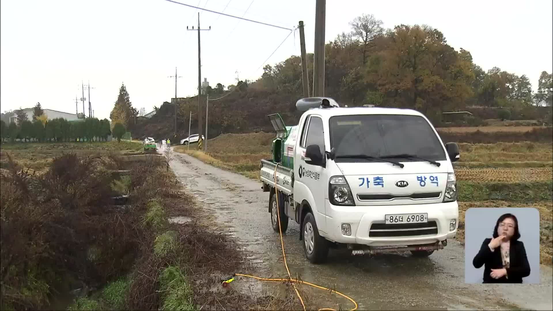 음성 메추리 농장서 AI 발생…고병원성 확인 중