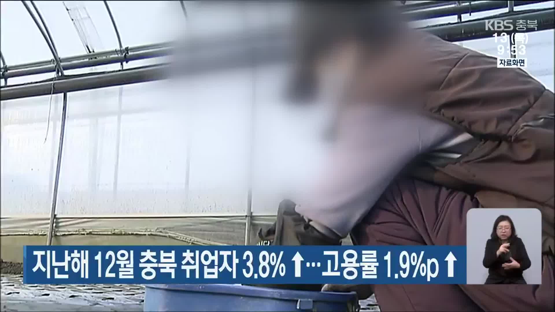 지난해 12월 충북 취업자 3.8%↑…고용률 1.9%p↑