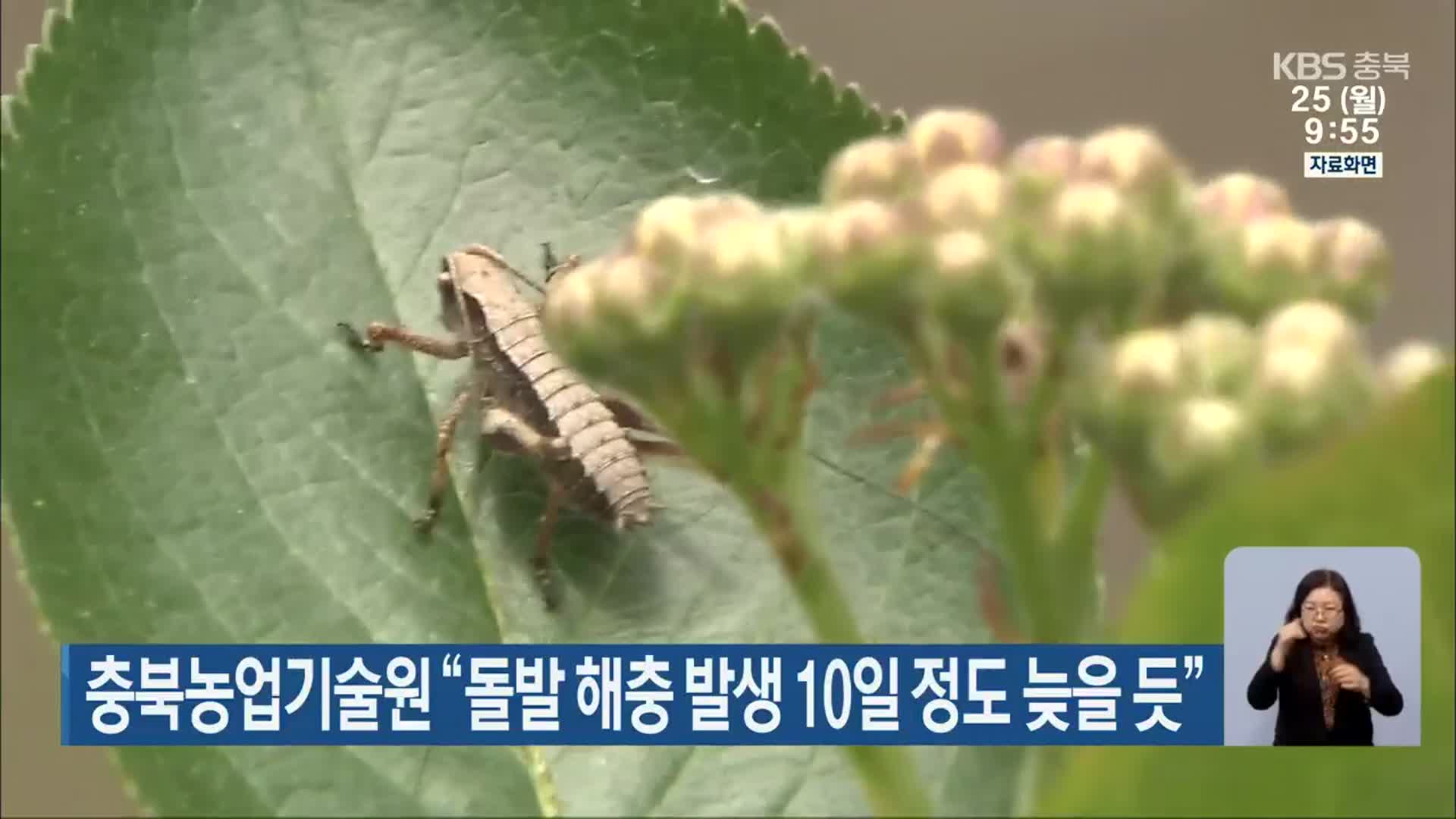 충북농업기술원 “돌발 해충 발생 10일 정도 늦을 듯”