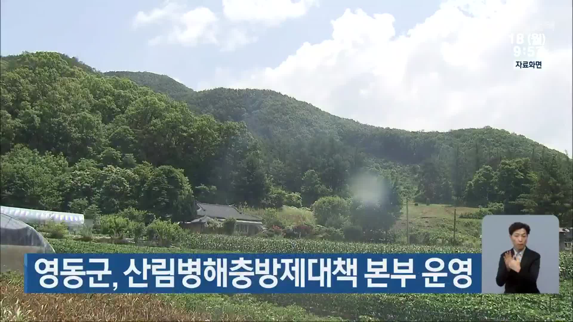 영동군, 산림병해충방제대책 본부 운영