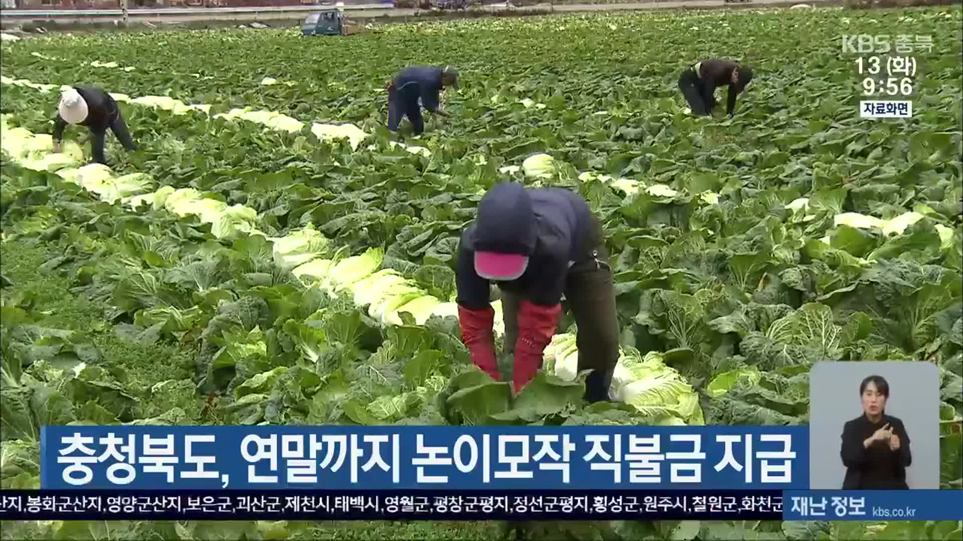 충청북도, 연말까지 논이모작 직불금 지급