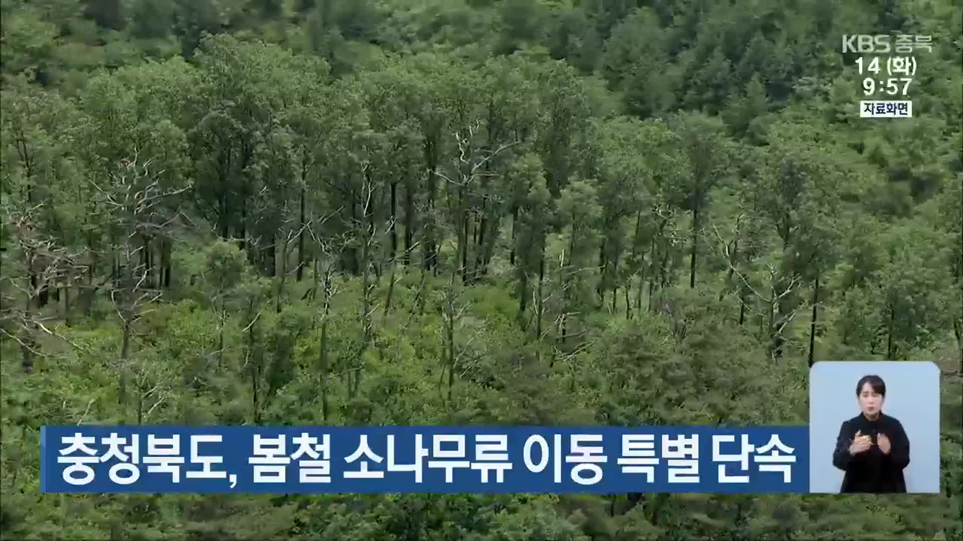 충청북도, 봄철 소나무류 이동 특별 단속