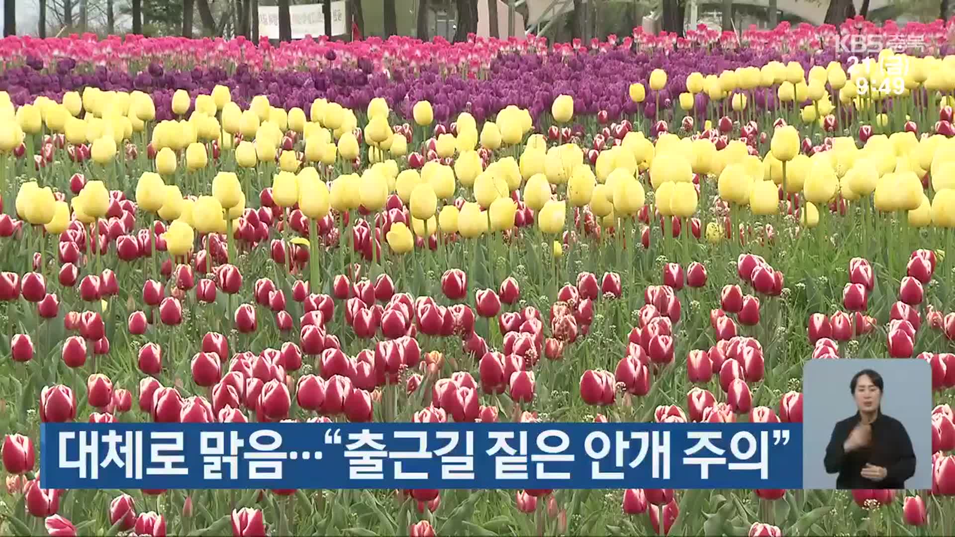 충북 대체로 맑음…“출근길 짙은 안개 주의”