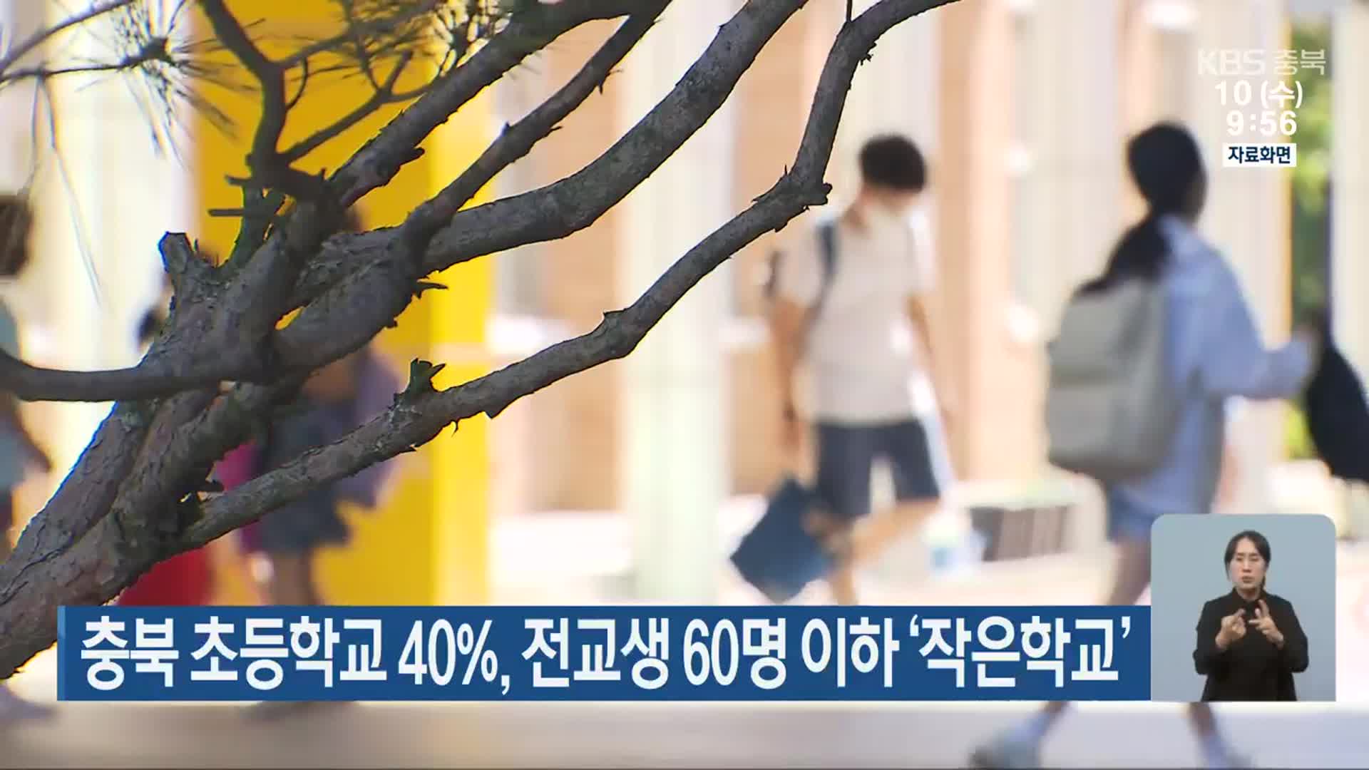 충북 초등학교 40%, 전교생 60명 이하 ‘작은 학교’