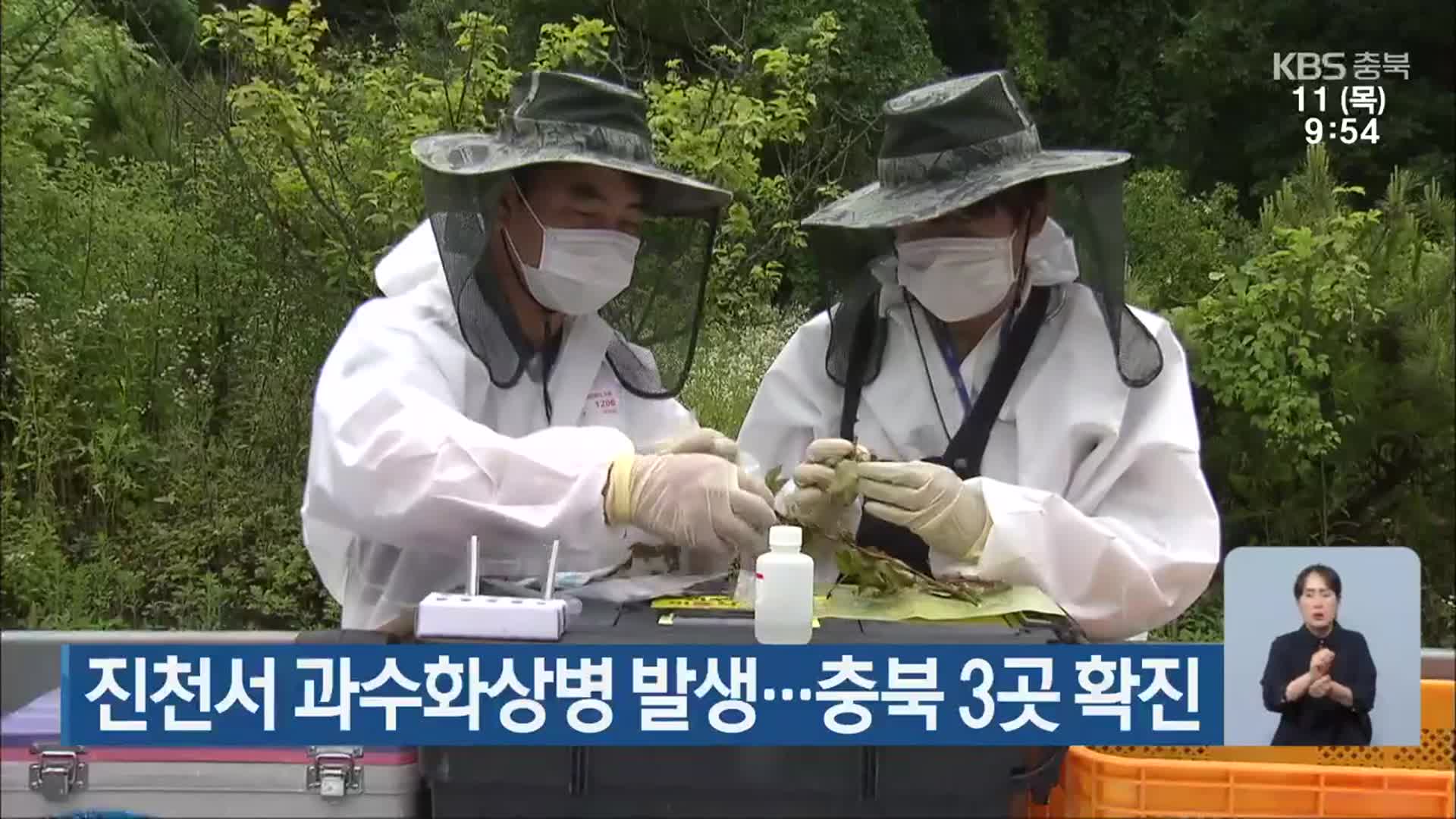 진천서 과수화상병 발생…충북 3곳 확진