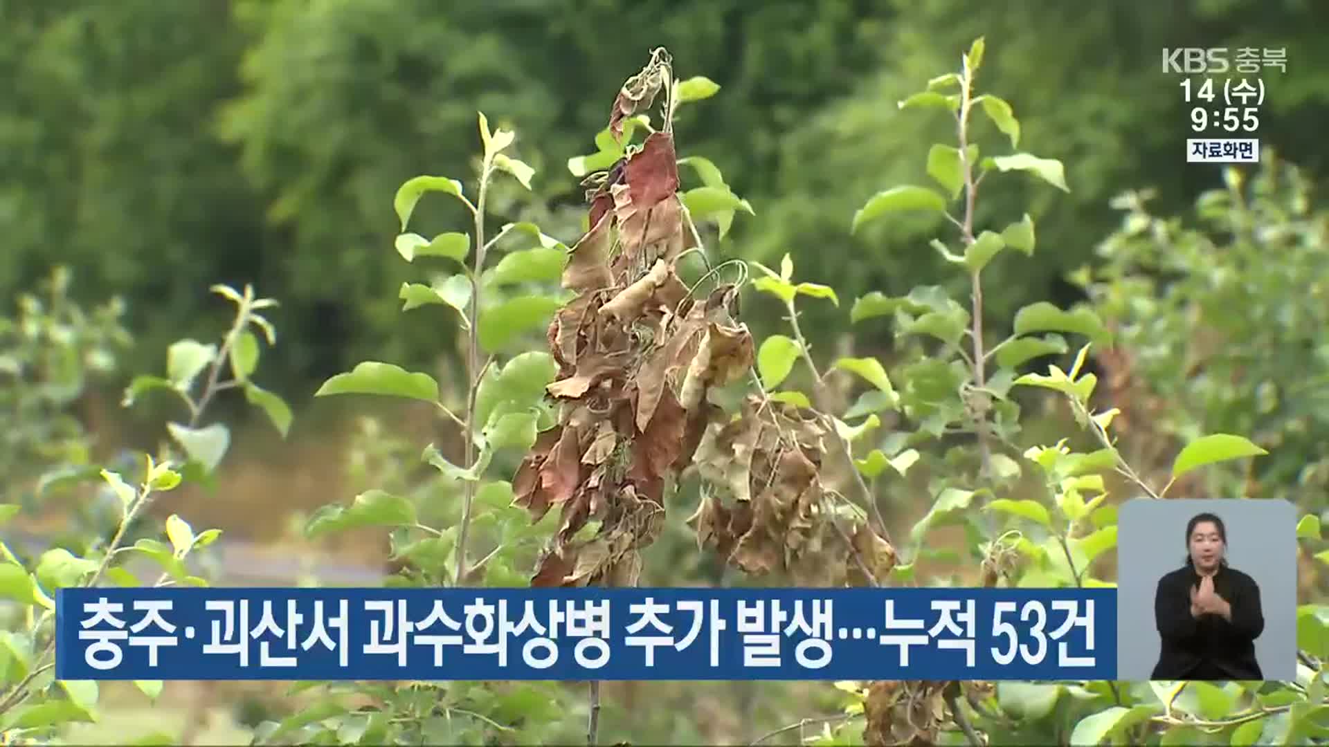 충주·괴산서 과수화상병 추가 발생…누적 53건
