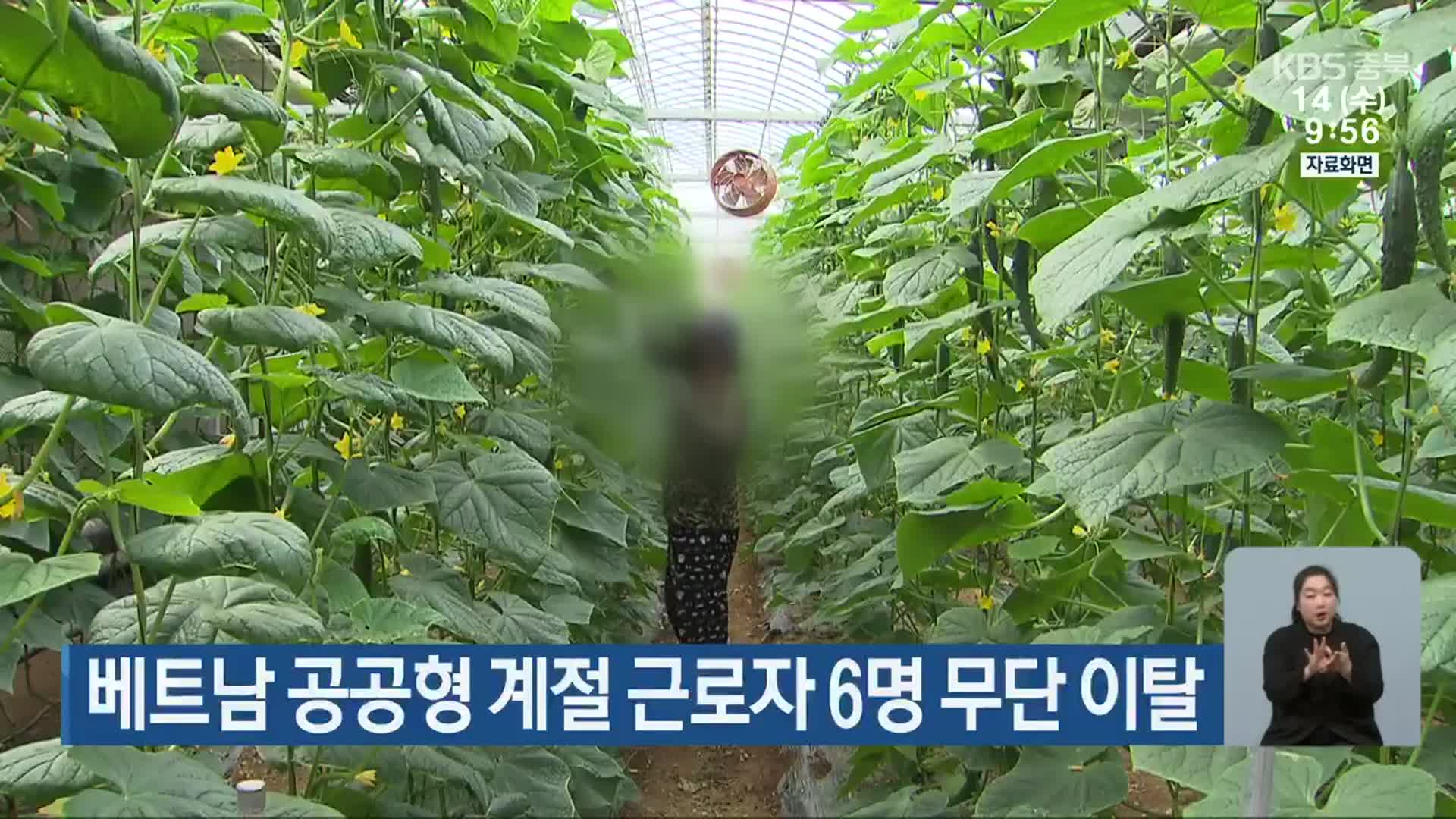 베트남 공공형 계절 근로자 6명 무단 이탈