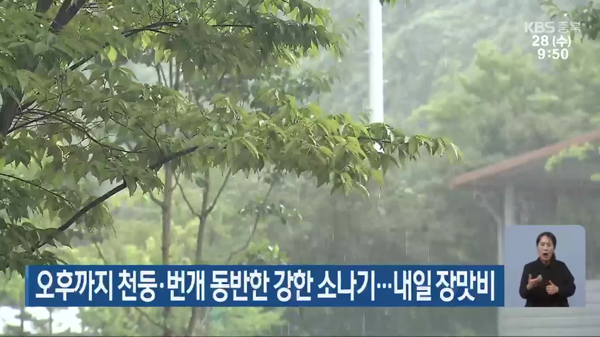 충북 오후까지 천둥·번개 동반한 강한 소나기…내일 장맛비