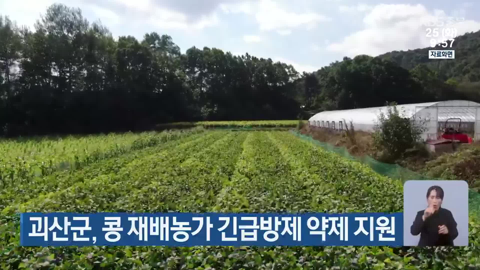 괴산군, 콩 재배농가 긴급방제 약제 지원