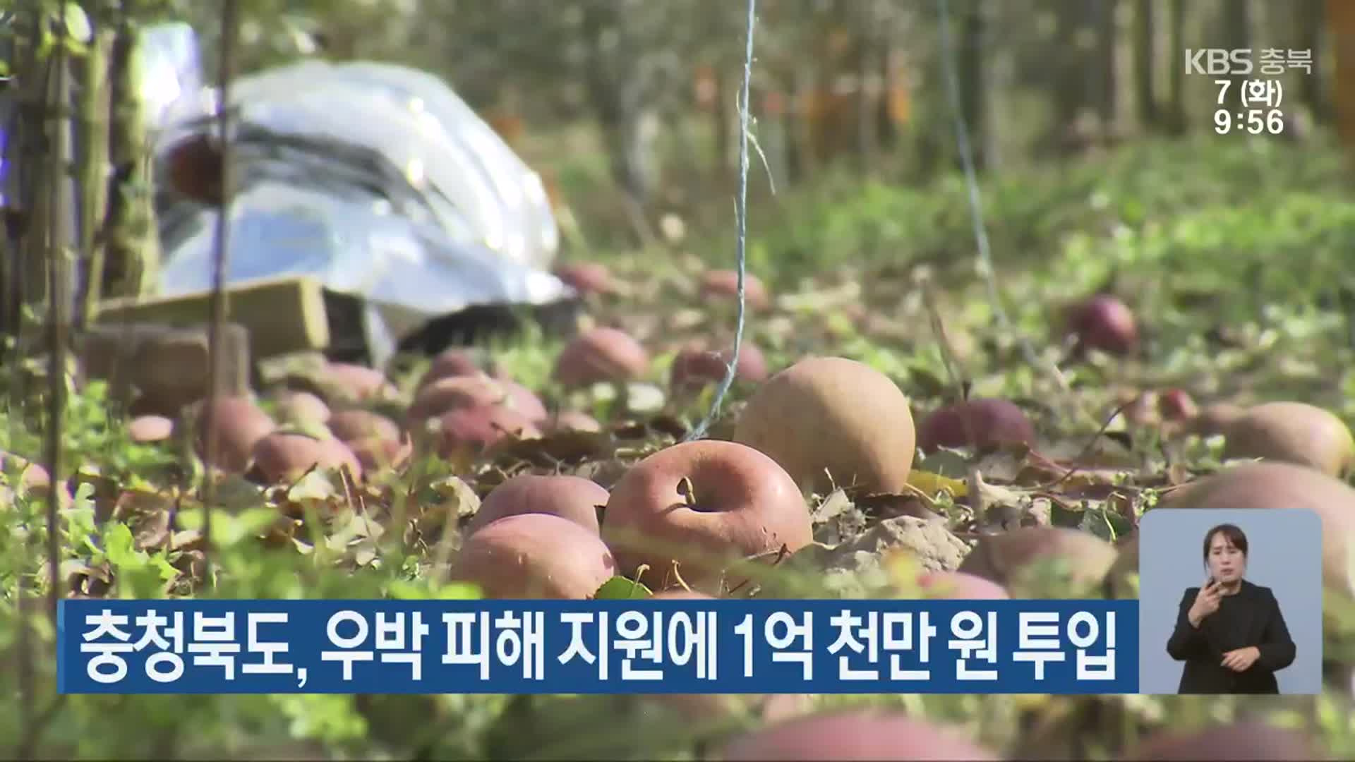 충청북도, 우박 피해 지원에 1억 천만 원 투입