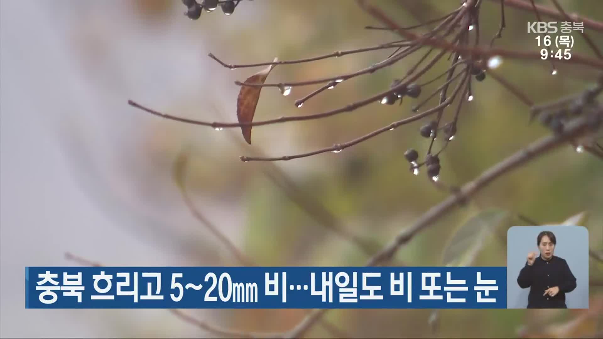 충북 흐리고 5~20mm 비…내일도 비 또는 눈