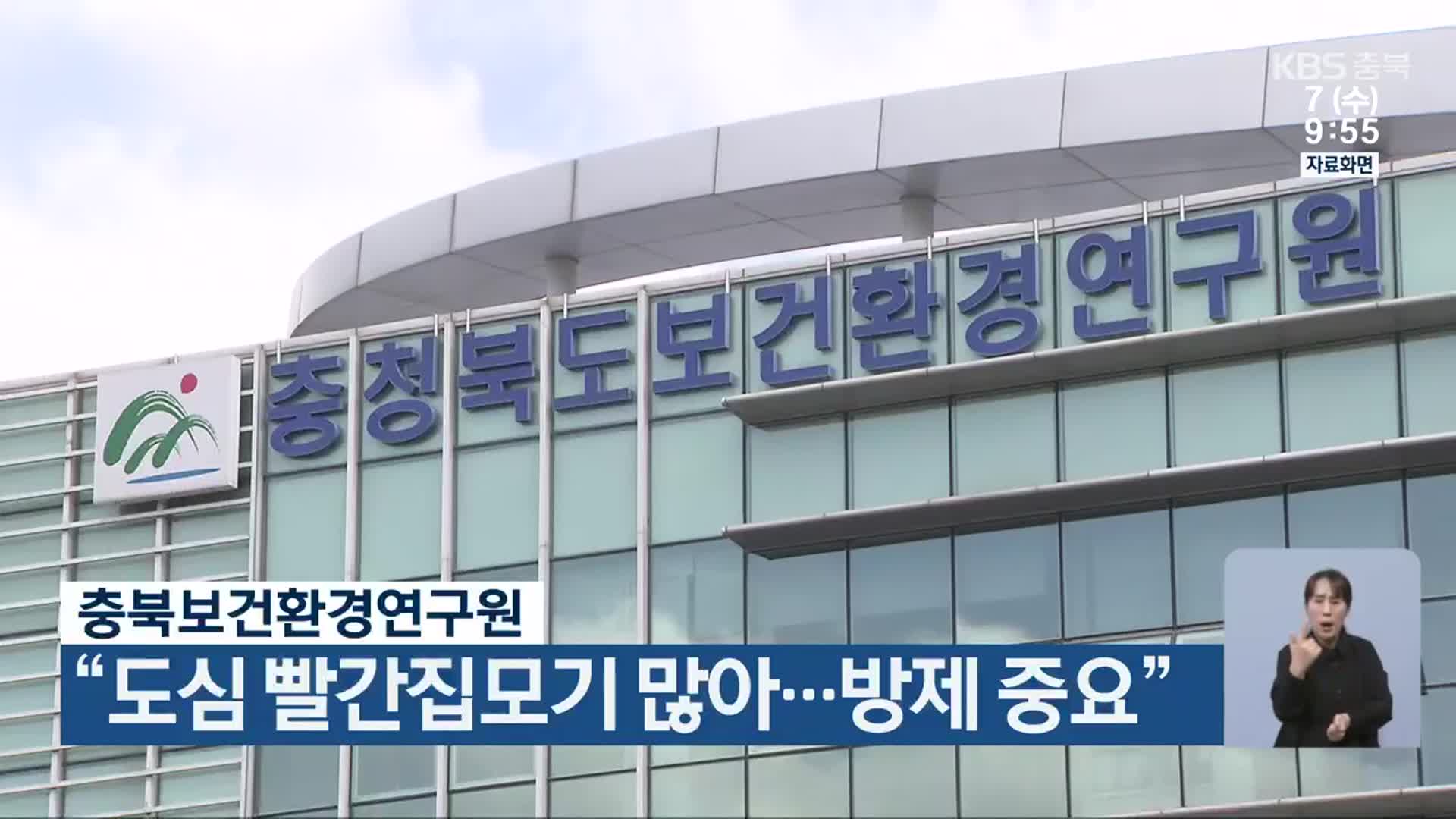 충북보건환경연구원 “도심 빨간집모기 많아…방제 중요”