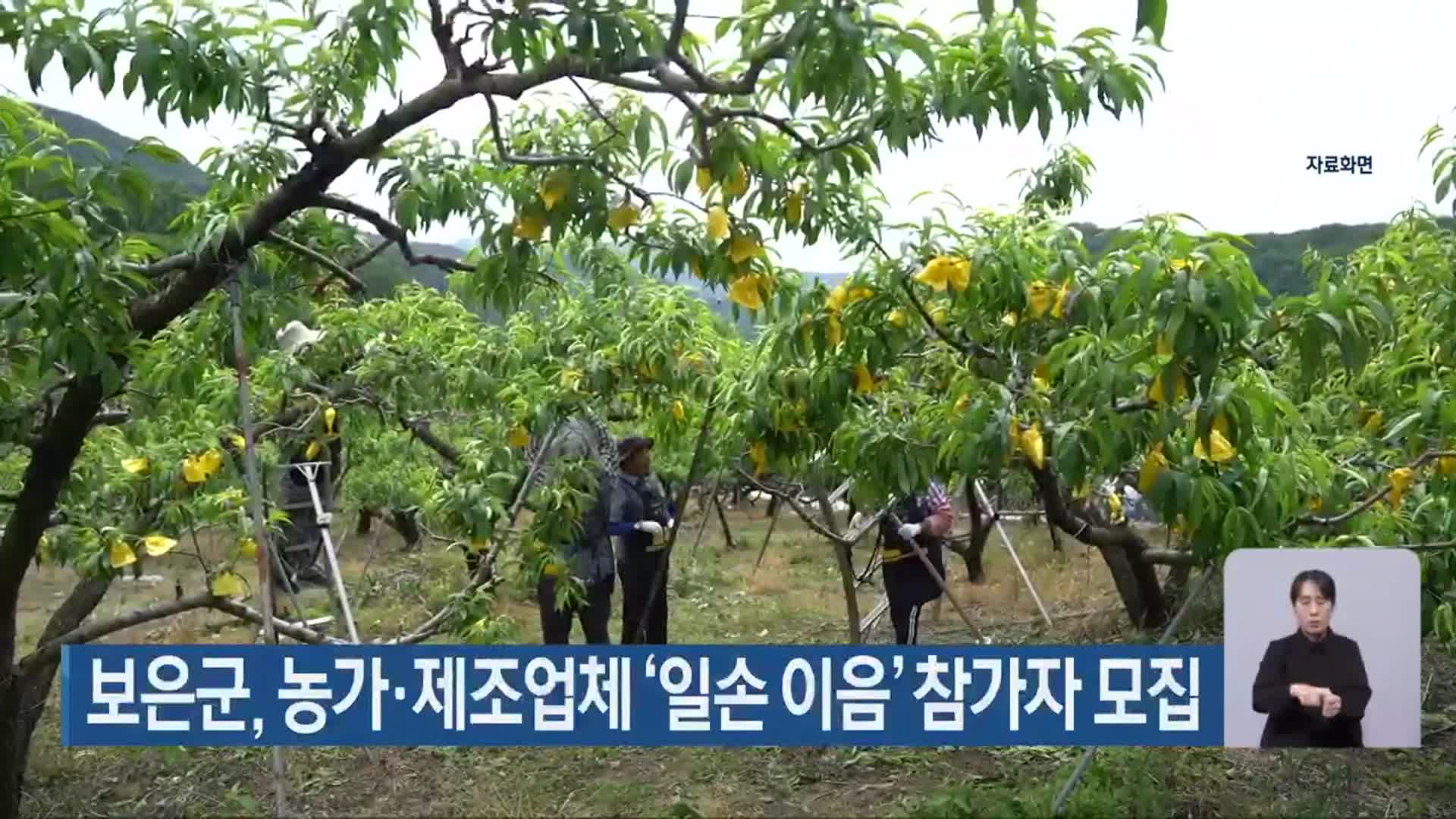 보은군, 농가·제조업체 ‘일손 이음’ 참가자 모집