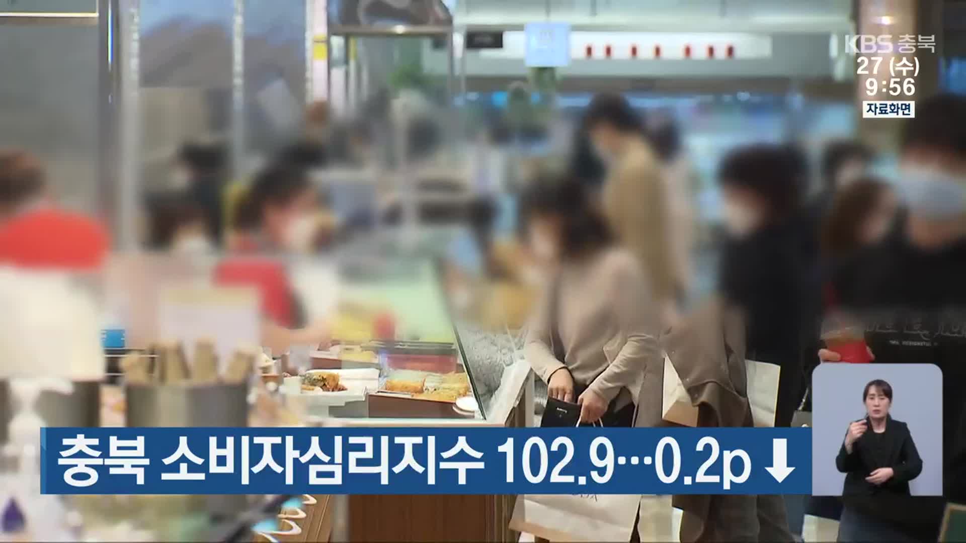 충북 소비자심리지수 102.9…0.2p↓