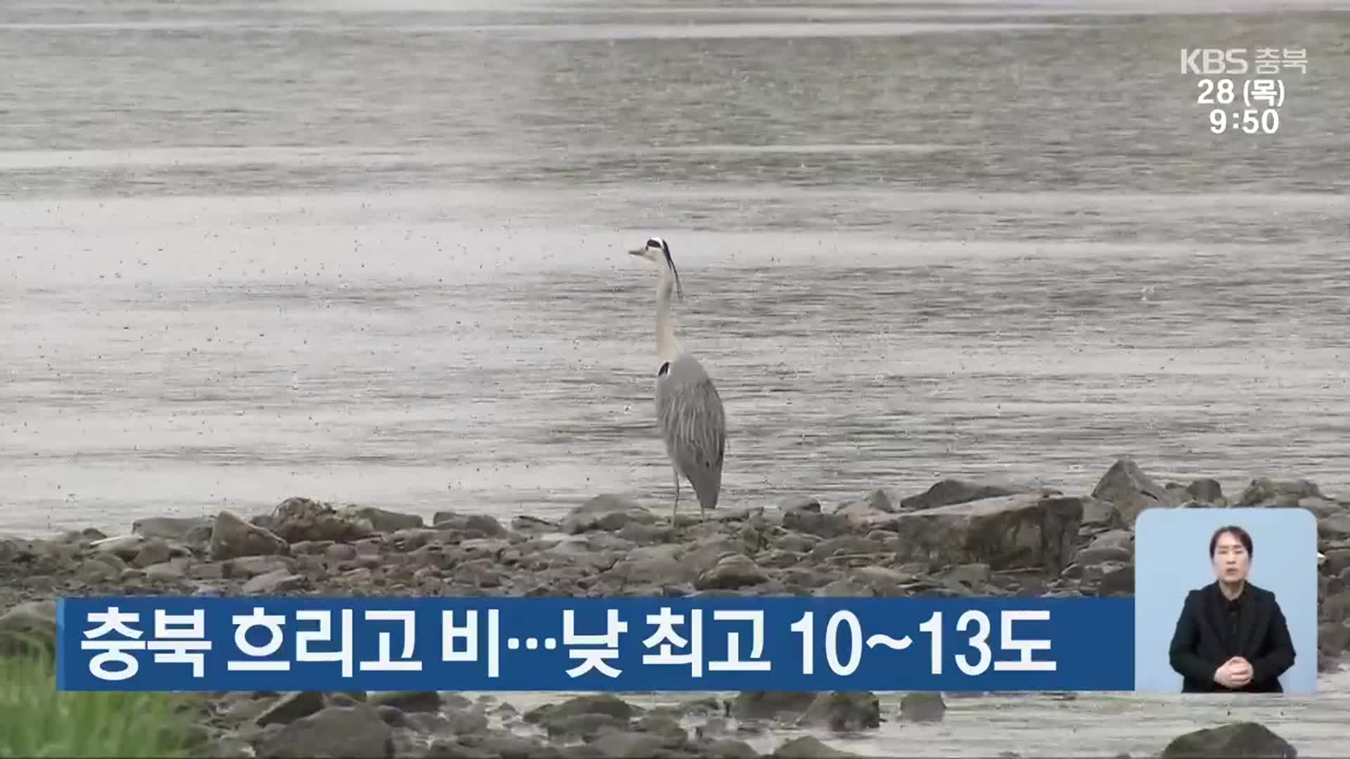 충북 흐리고 비…낮 최고 10~13도
