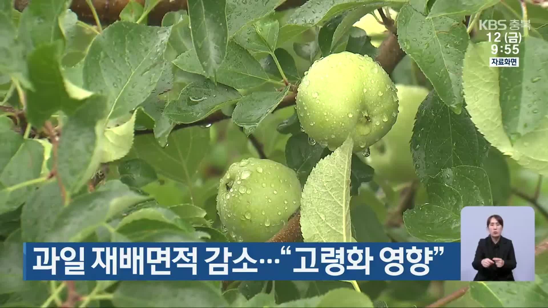 과일 재배면적 감소…“고령화 영향”