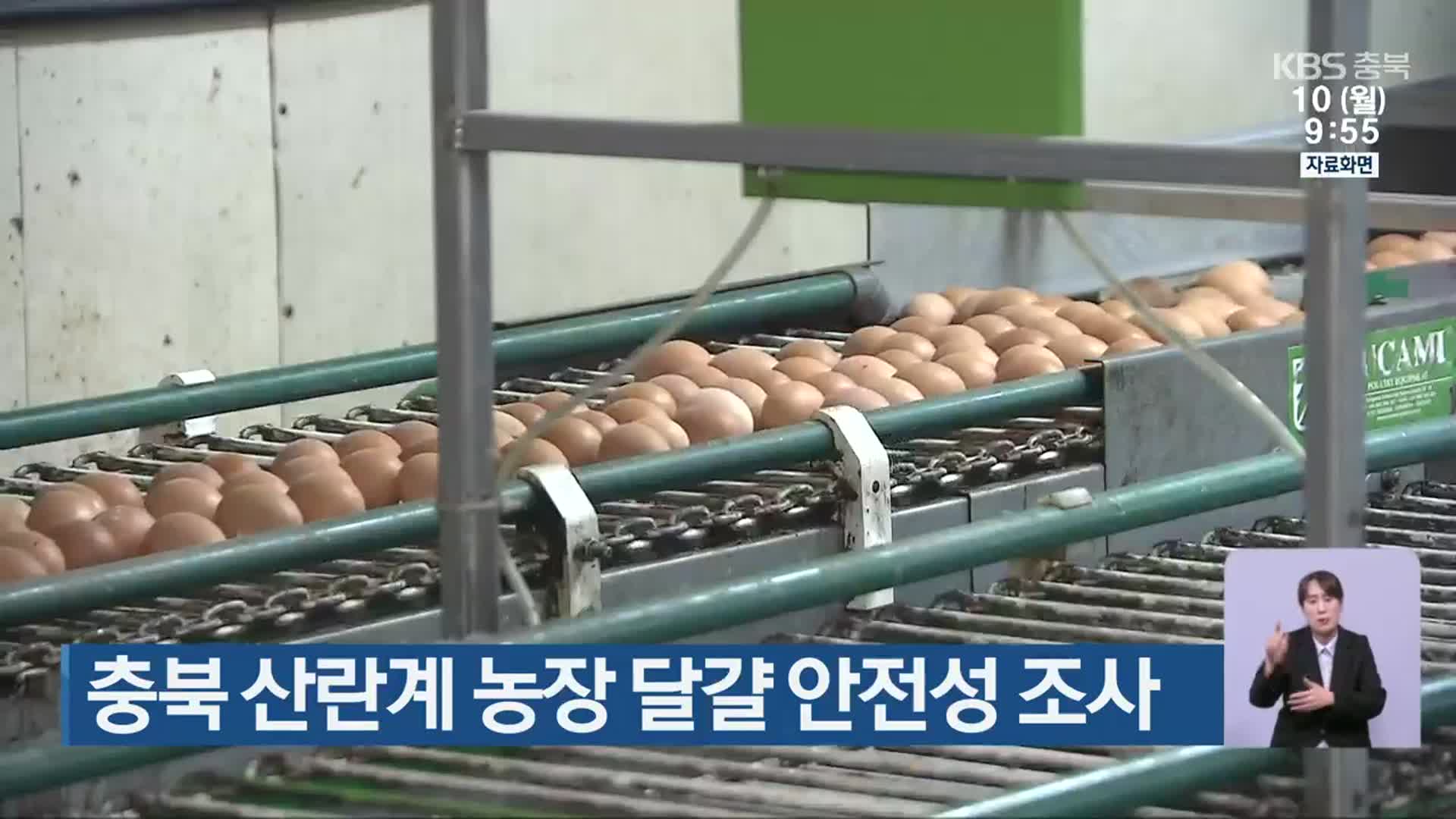 충북 산란계 농장 달걀 안전성 조사