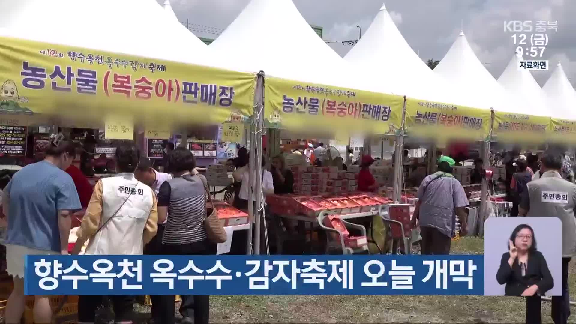 향수옥천 옥수수·감자축제 오늘 개막