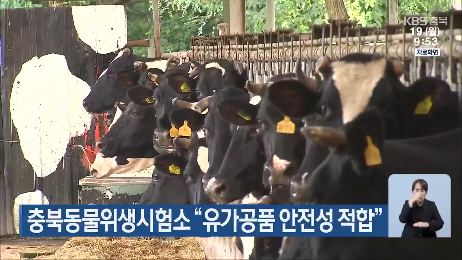 충북동물위생시험소 “유가공품 안전성 적합”