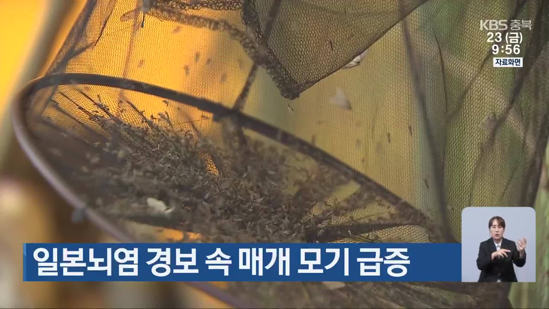 일본뇌염 경보 속 매개 모기 급증