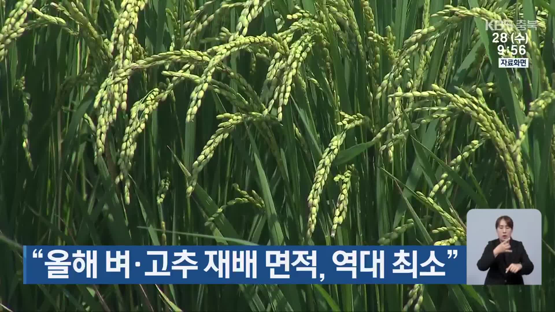 “올해 벼·고추 재배 면적, 역대 최소”