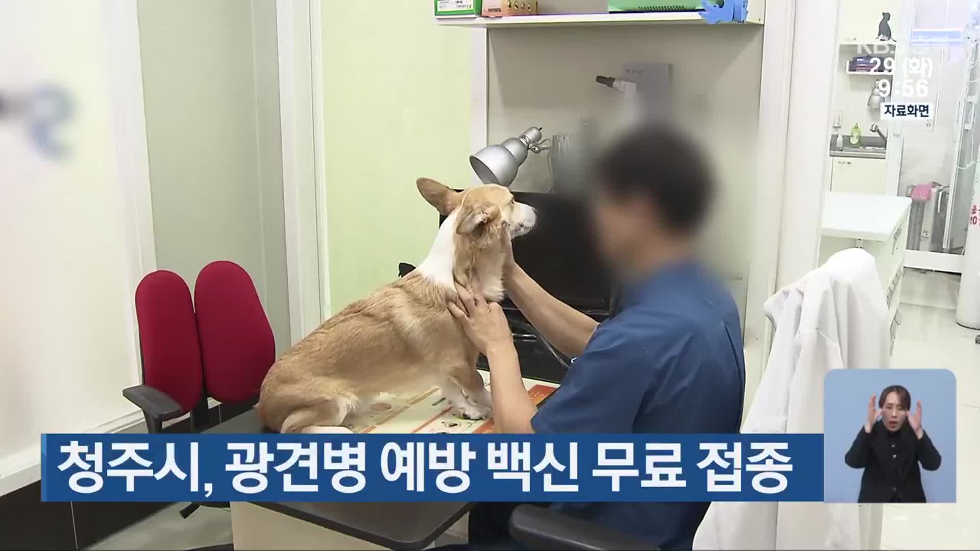 청주시, 광견병 예방 백신 무료 접종