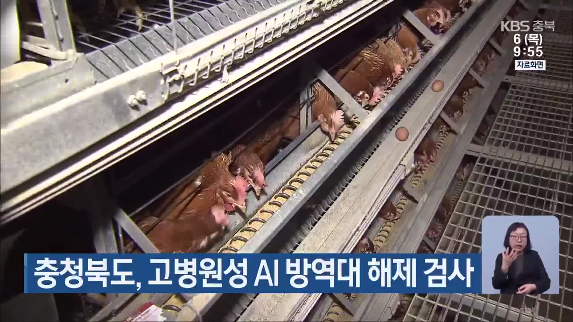 충청북도, 고병원성 AI 방역대 해제 검사