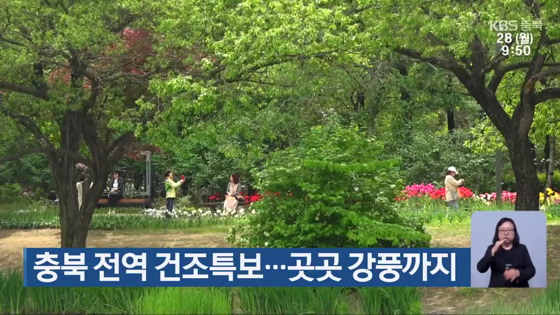 충북 전역 건조특보…곳곳 강풍까지