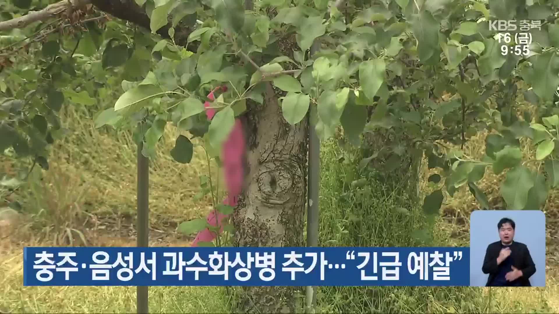 충주·음성서 과수화상병 추가…“긴급 예찰”
