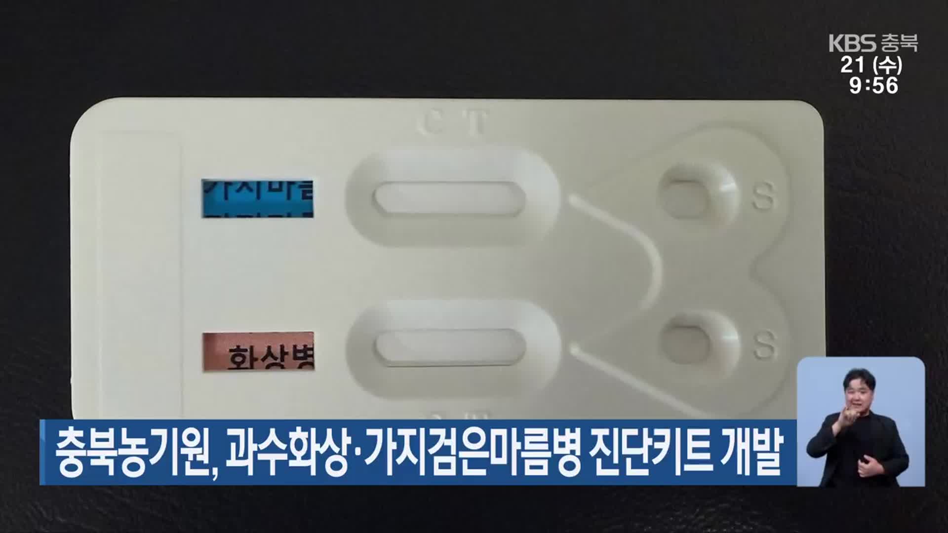 충북농기원, 과수화상·가지검은마름병 진단키트 개발