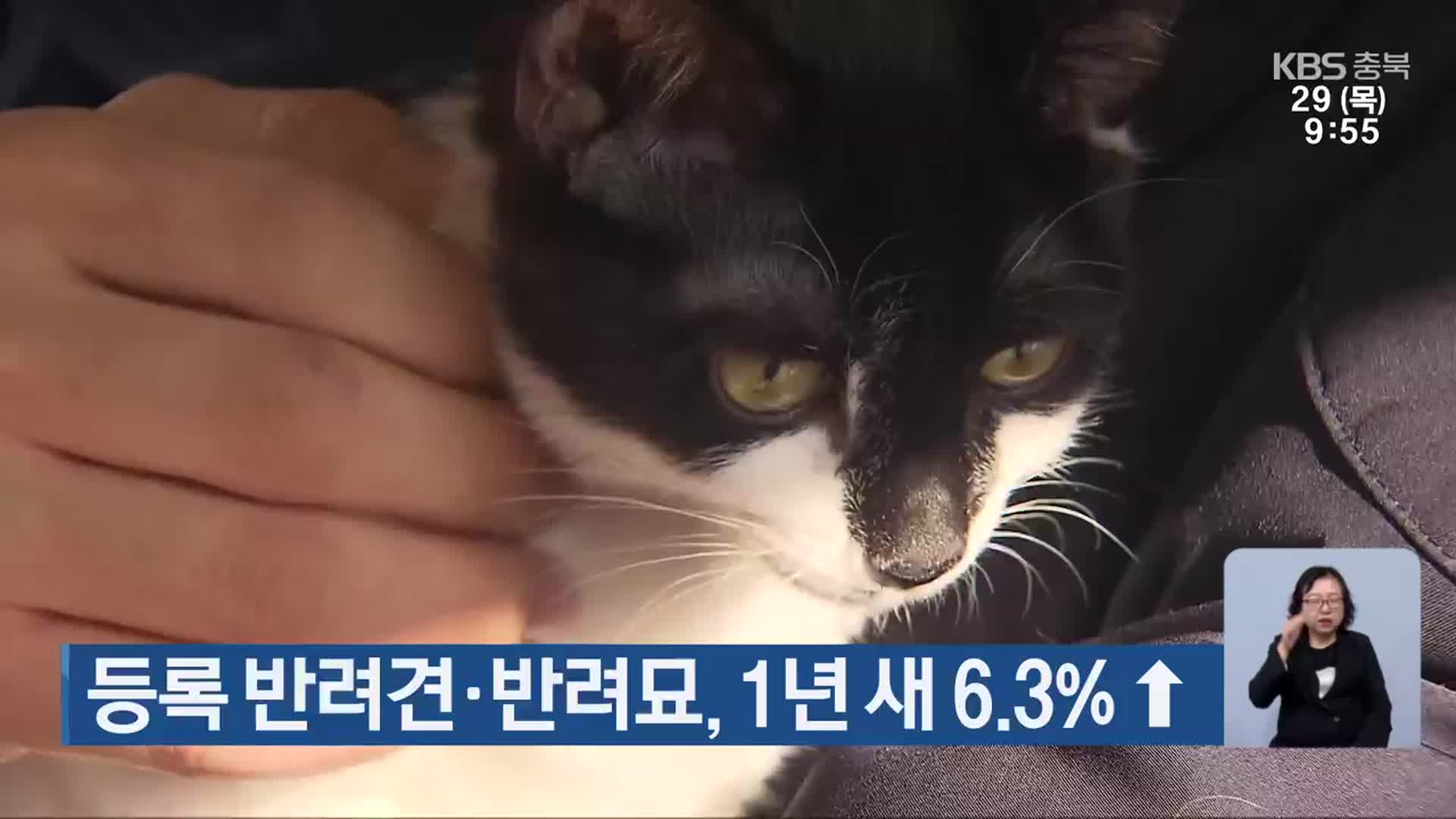 등록 반려견·반려묘, 1년 새 6.3% ↑