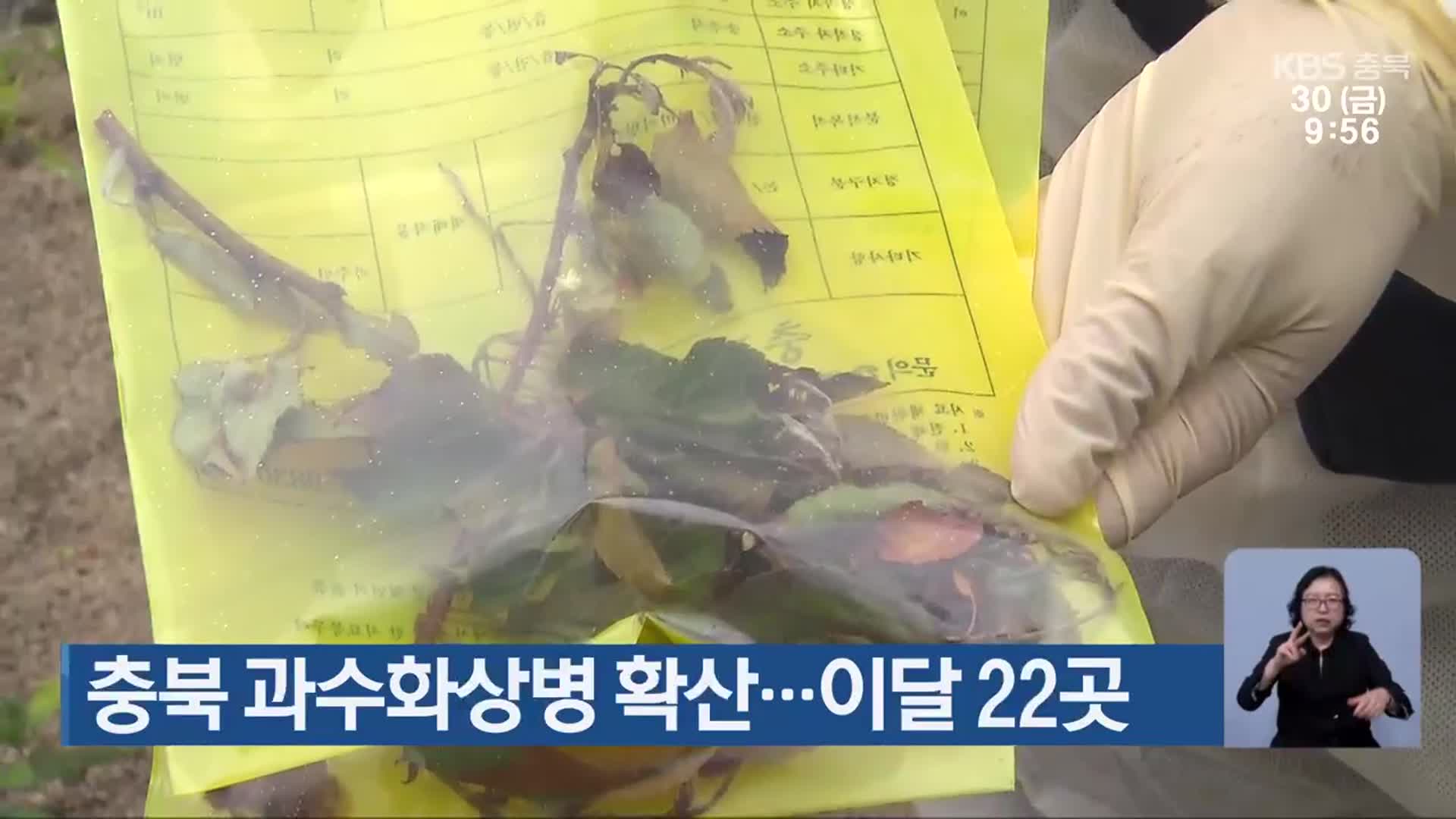 충북 과수화상병 확산…이달 22곳