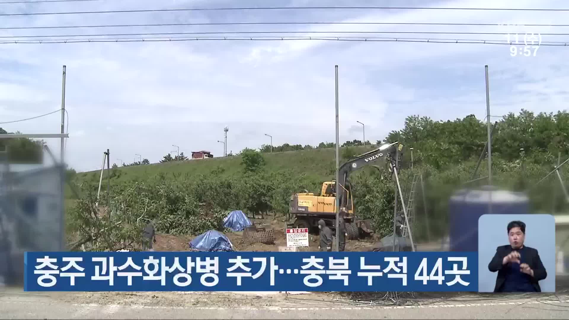 충주 과수화상병 추가…충북 누적 44곳