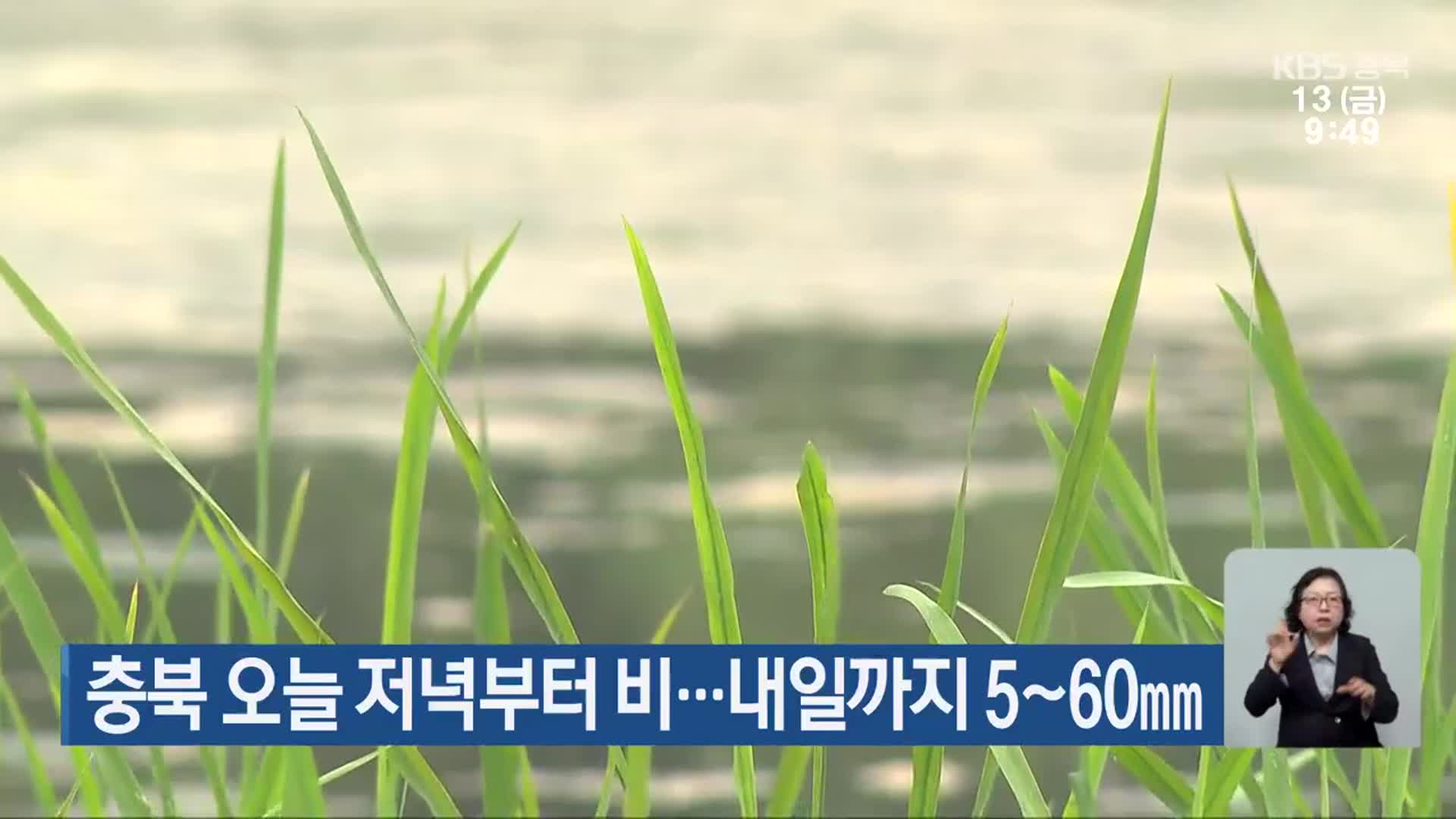 충북 오늘 저녁부터 비…내일까지 5~60mm