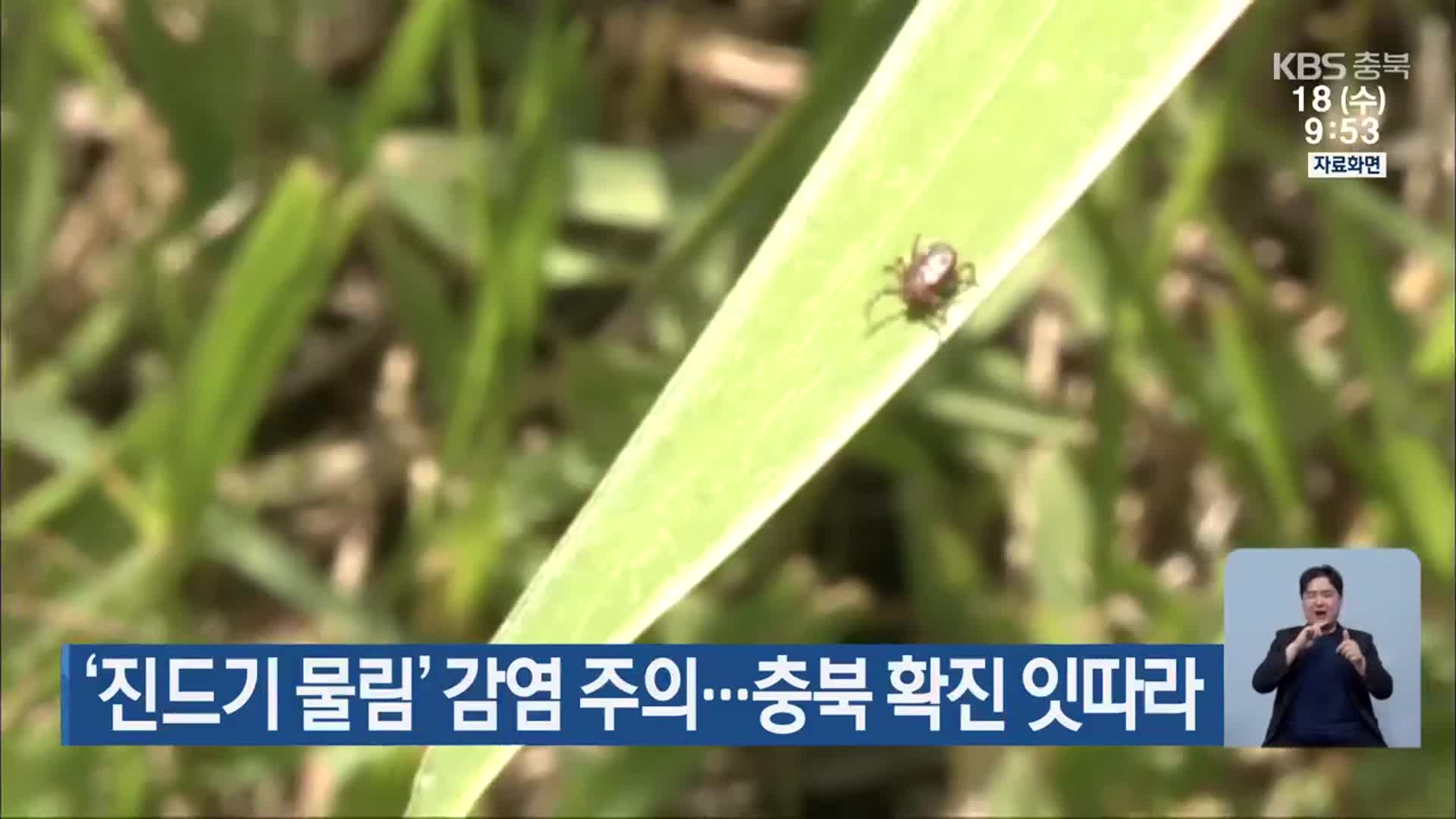 ‘진드기 물림’ 감염 주의…충북 확진 잇따라