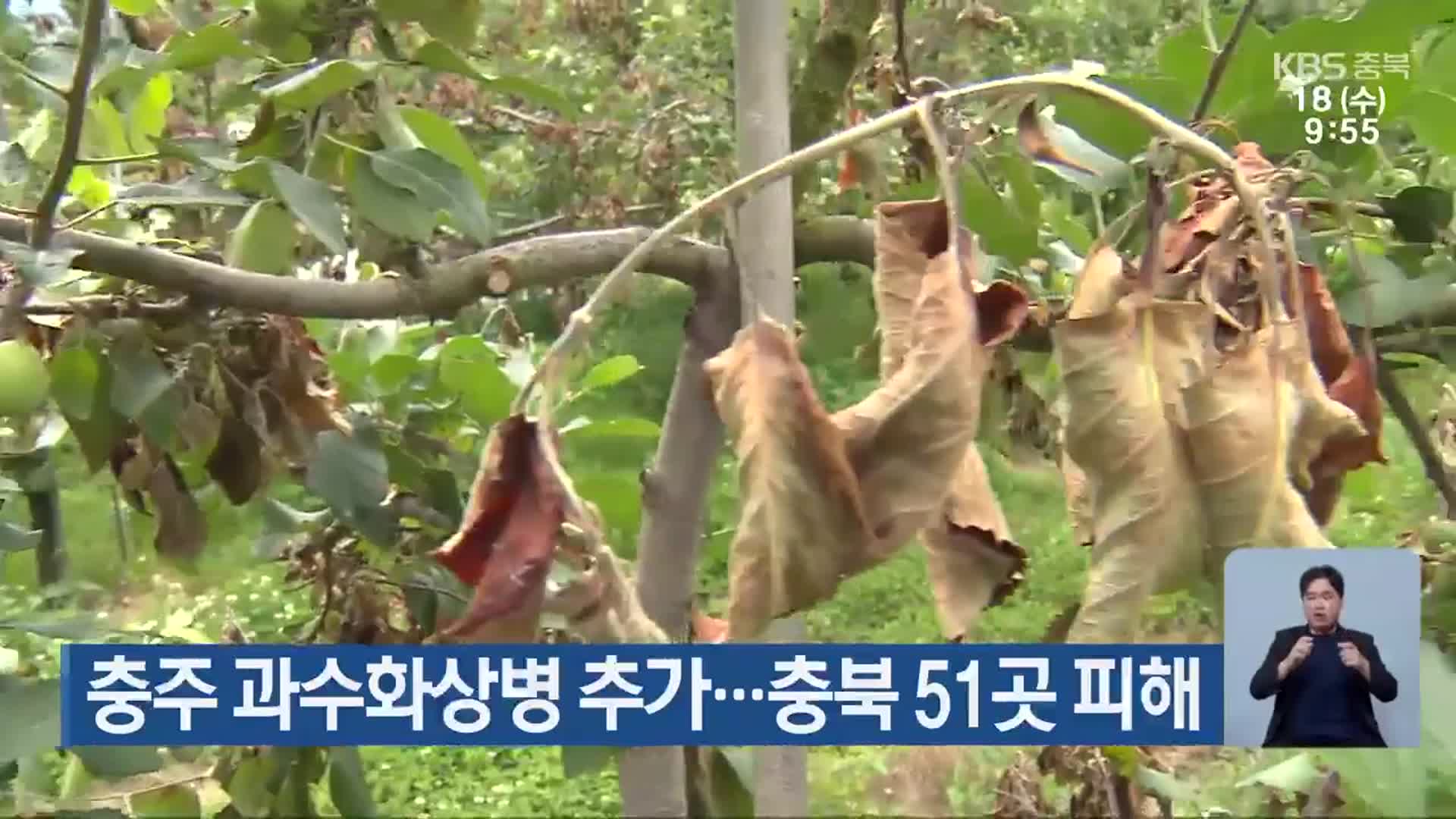 충주 과수화상병 추가…충북 51곳 피해