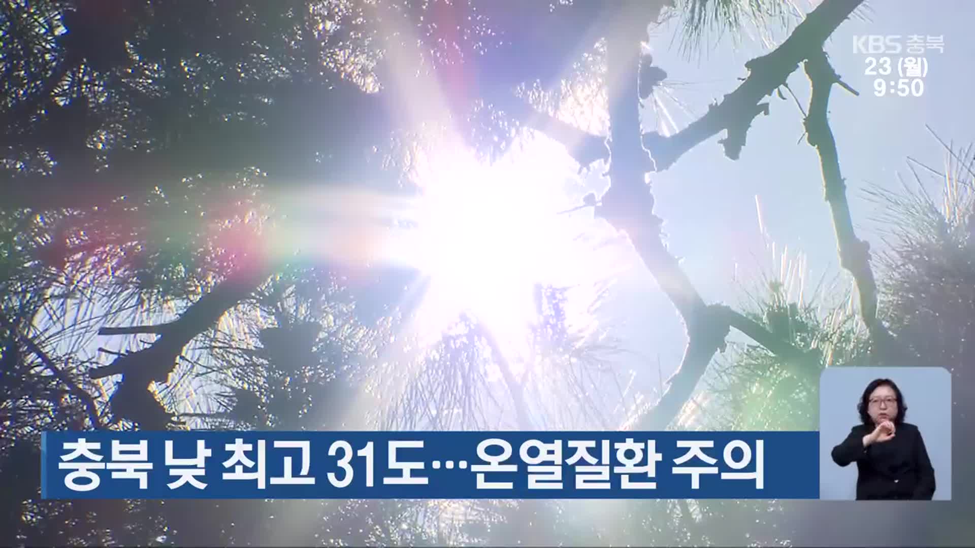 충북 낮 최고 31도…온열질환 주의
