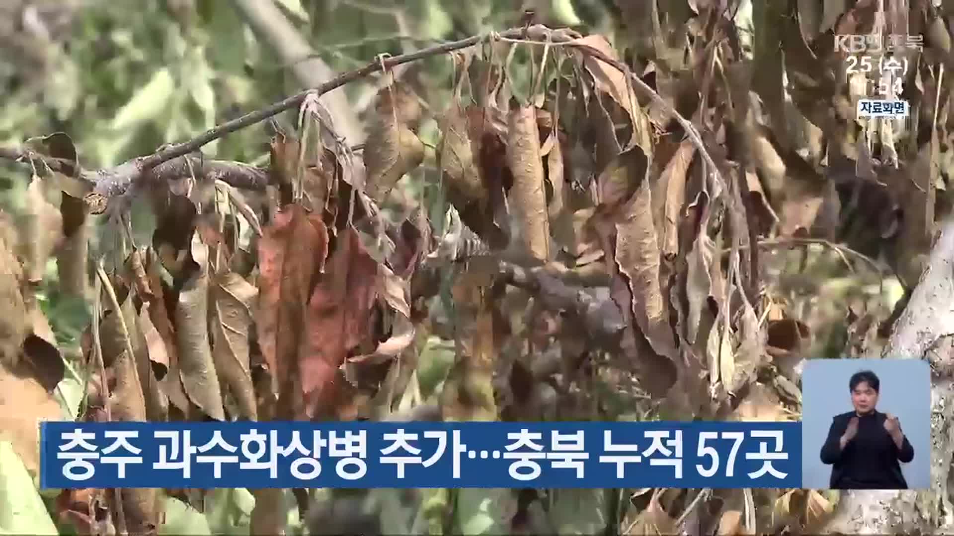 충주 과수화상병 추가…충북 누적 57곳
