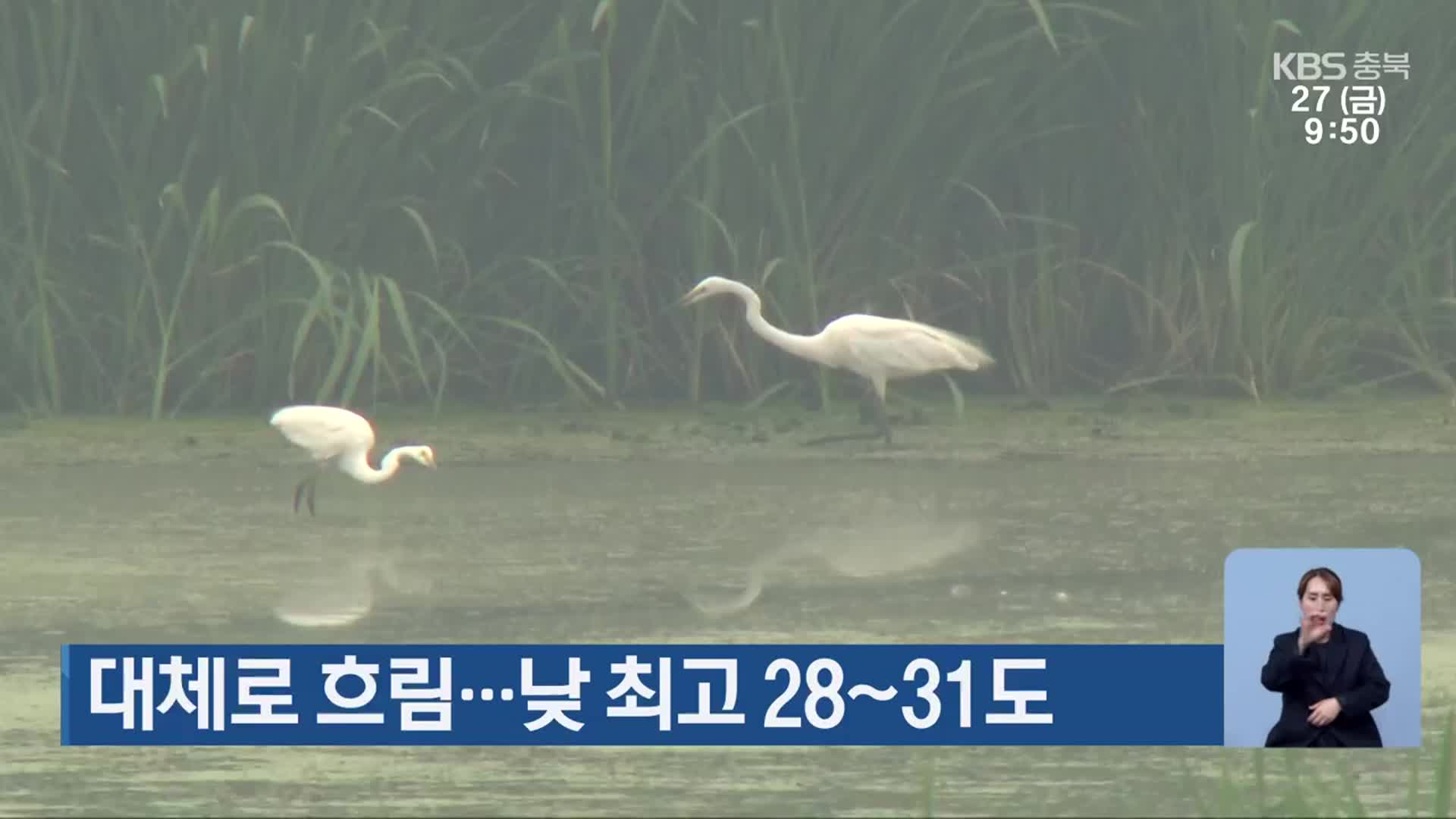 충북 대체로 흐림…낮 최고 28~31도