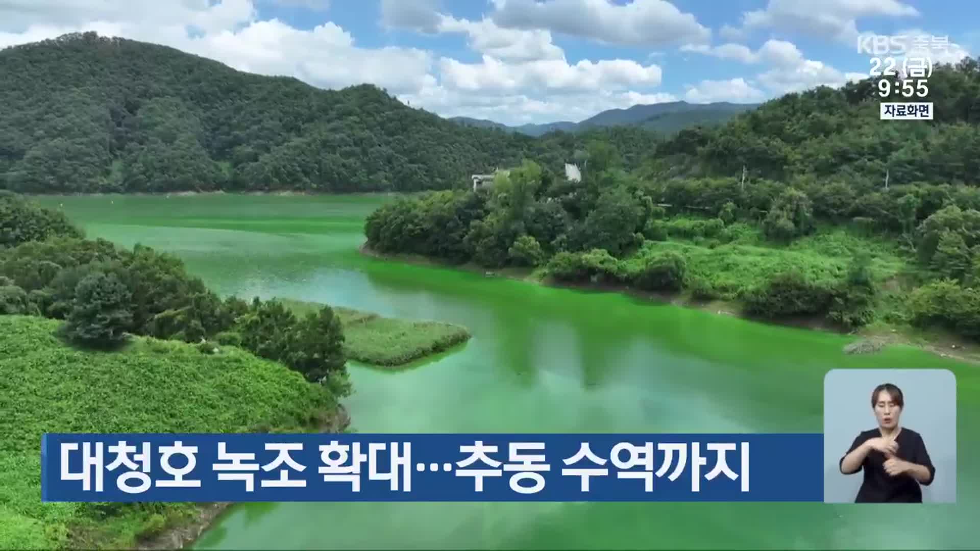 대청호 녹조 확대…추동 수역까지