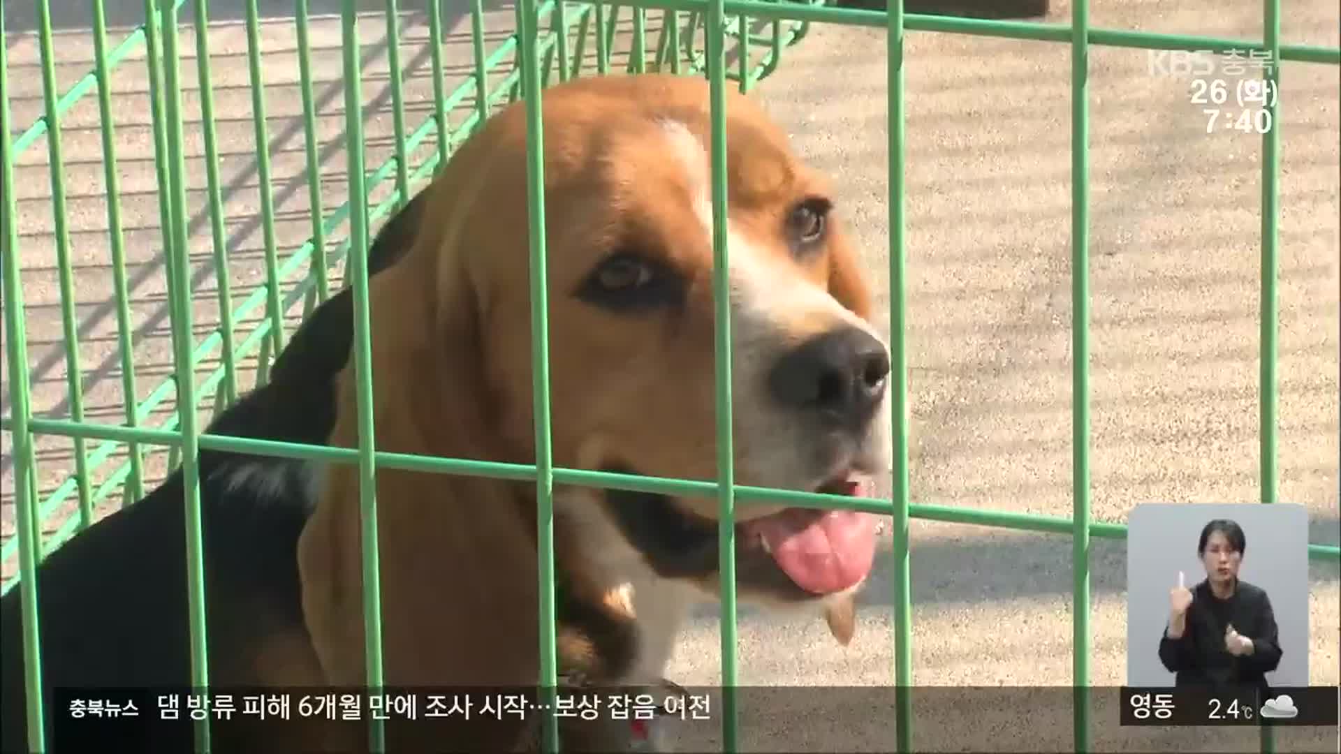 개 눈 적출 논란…“동물 학대” vs “실험 기준 준수”