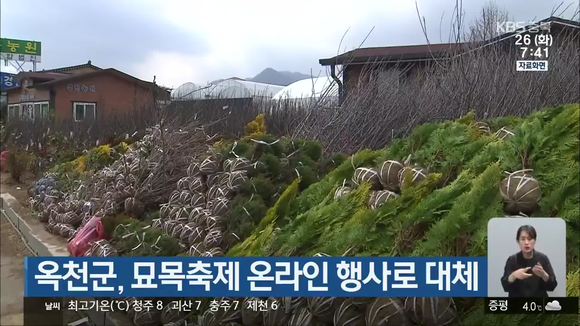 옥천군, 묘목축제 온라인 행사로 대체