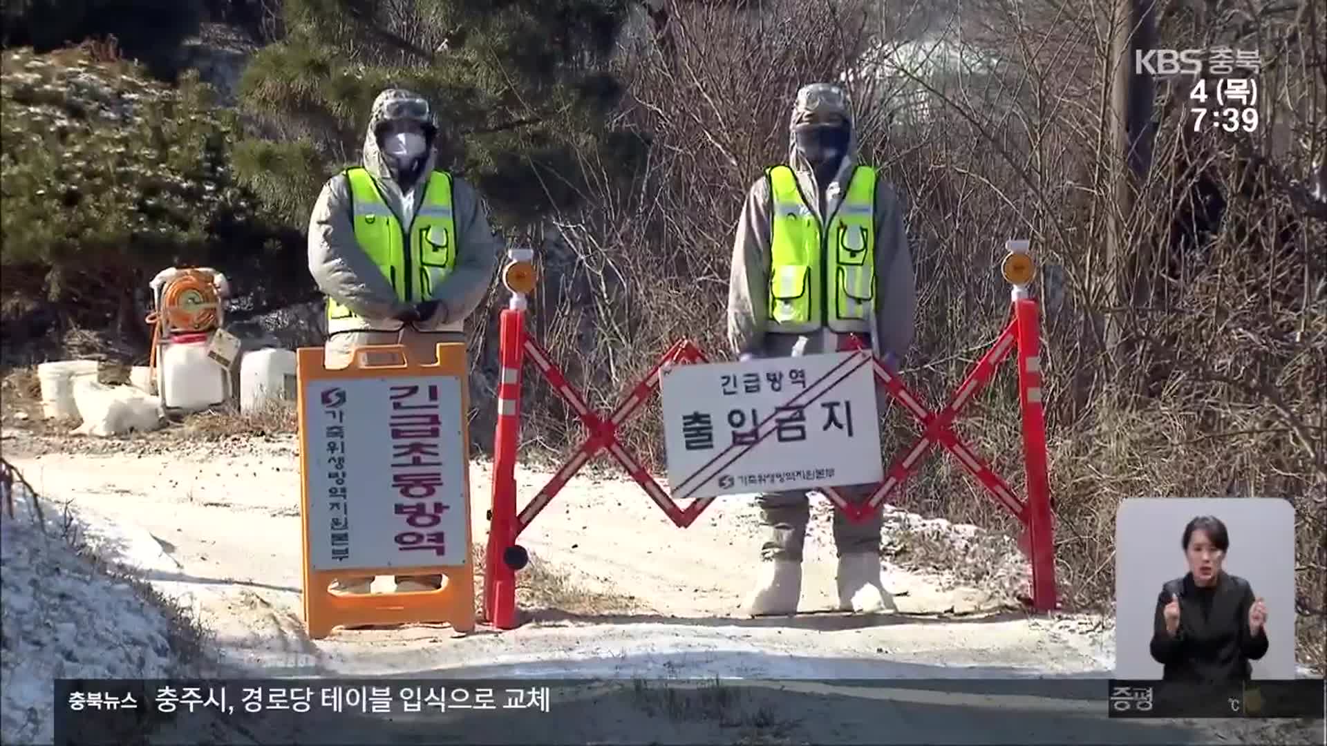 충주서도 ‘고병원성 AI’…이번 겨울, 충북 6번째