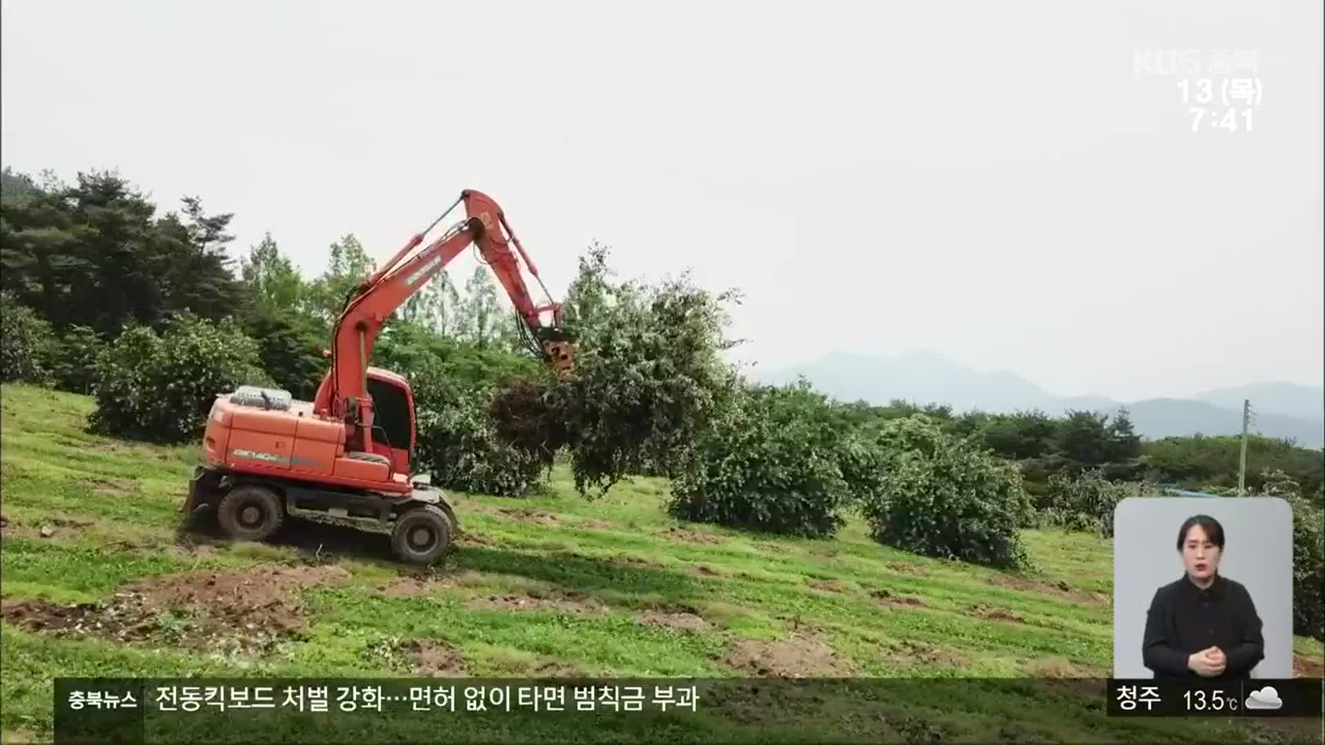 과수화상병 보상 갈등…“전액 국비” vs “지방 분담”