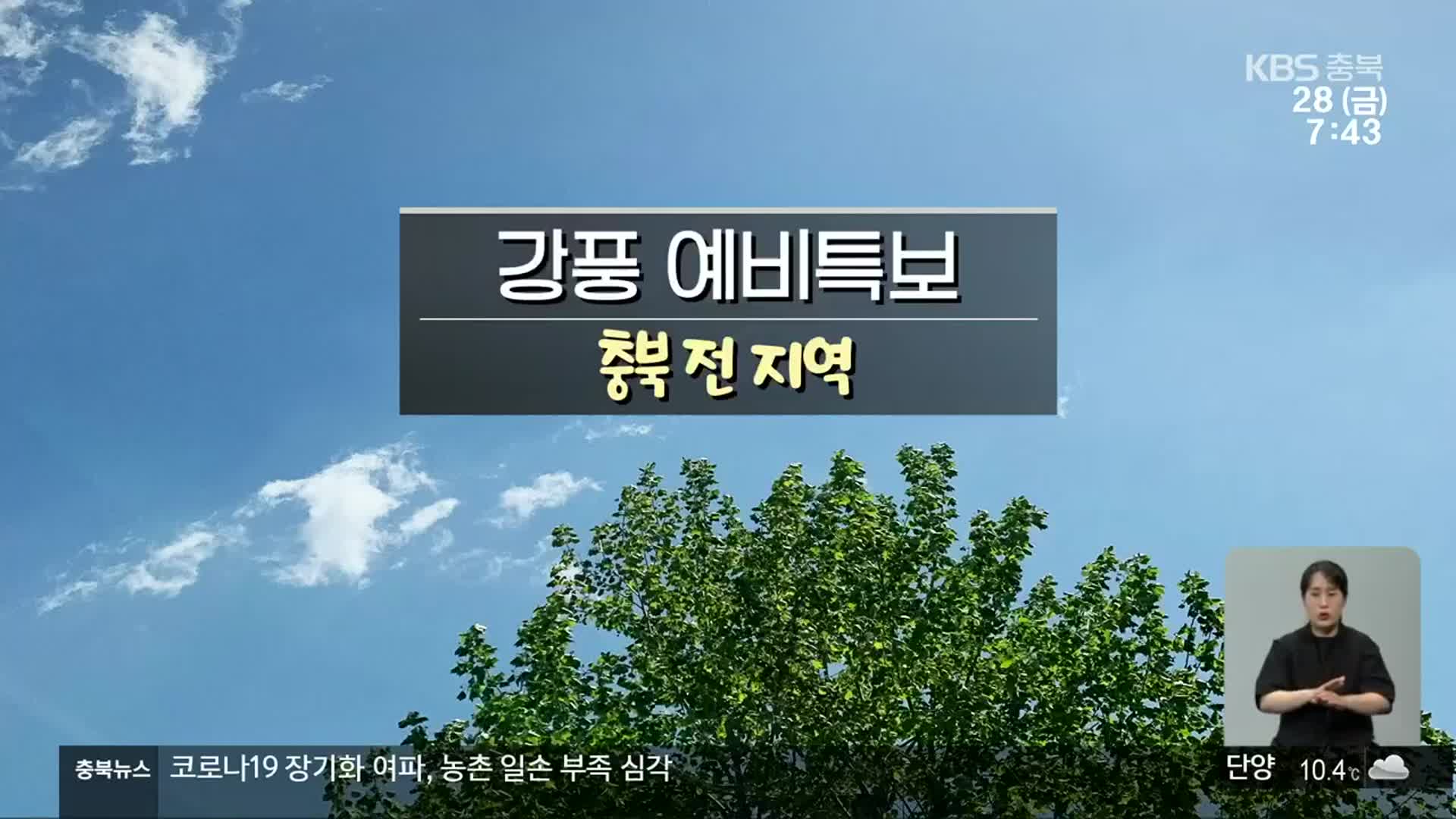 [날씨] 충북 전 지역 강풍 예비특보…안전에 유의