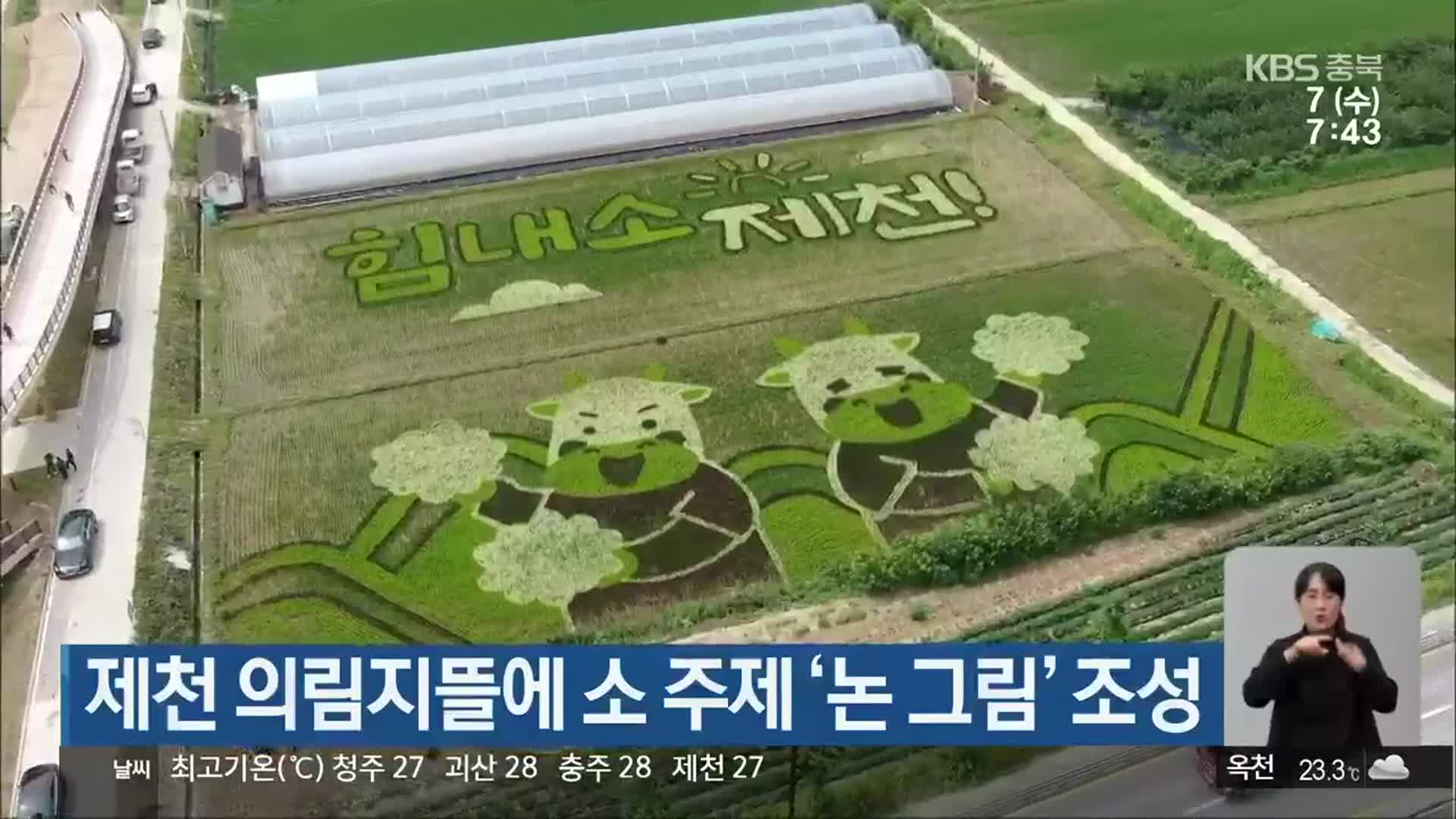 제천 의림지뜰에 소 주제 ‘논 그림’ 조성