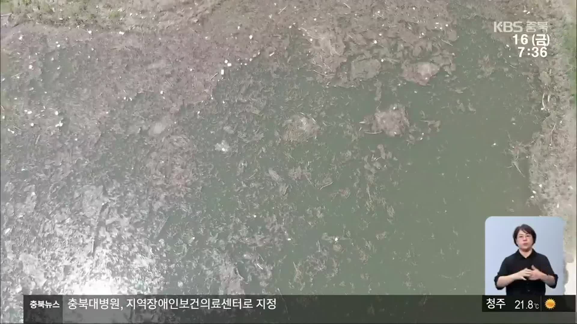 쓰레기에 녹조까지…중부권 식수원 ‘대청호’ 몸살